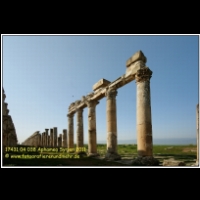 17431 04 038 Aphamea Syrien 2011.jpg